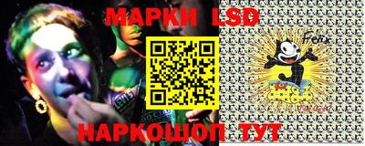 крисы Шебекино