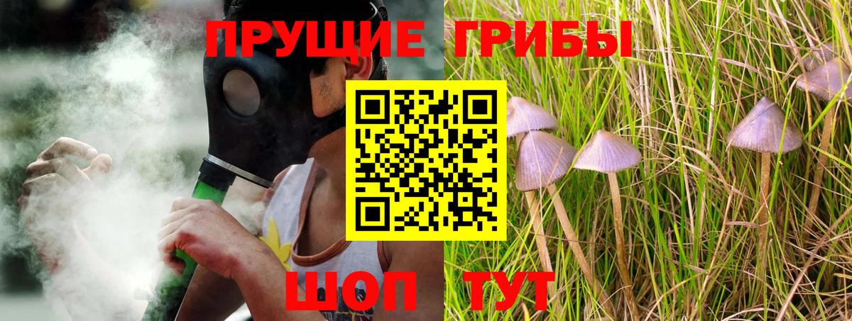 где найти наркотики  Галлюциногенные грибы прущие грибы  Галлюциногенные грибы Psilocybine cubensis  Вход с VPN  Лыткарино 